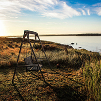 短信免费轰炸网页入口