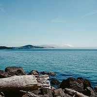 24小时呼叫轰炸神器